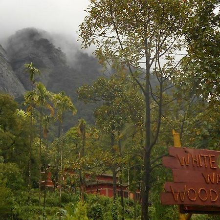 White Water Woods Resort Vythiri Exterior foto